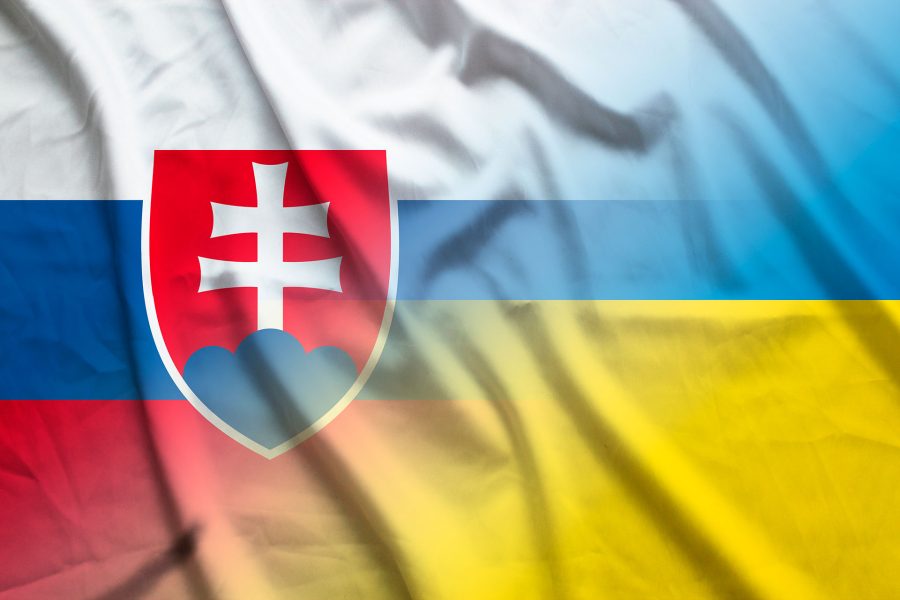 Біженці з України в Словаччині: їх статус та перспективи