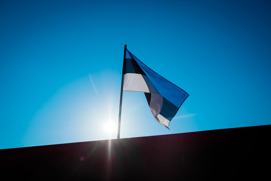 Біженство в Естонії: як отримати захист українцям